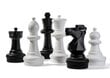 Šachmatų figūrėlių rinkinys Rolly Toys 218707 kaina ir informacija | Lauko žaidimai | pigu.lt