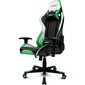 Žaidimų kėdė Drift DR175GREEN kaina ir informacija | Biuro kėdės | pigu.lt