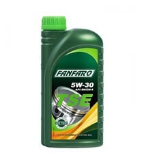 Моторное масло Fanfaro VSX 5W40 цена и информация | Моторные масла | pigu.lt