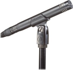 Kondensatorinis mikrofonas Audio Technica AT2031 kaina ir informacija | Mikrofonai | pigu.lt