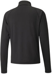 Puma Джемпер IndividualLiga Black 657656 03 657656 03/L цена и информация | Мужские толстовки | pigu.lt