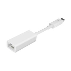 Адаптер Thunderbolt - Gigabit Ethernet, Apple цена и информация | Apple Компьютерные аксессуары | pigu.lt