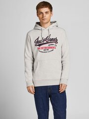 Мужская спортивная кофта Jack & Jones 12189736*01, светло-серая цена и информация | Мужские толстовки | pigu.lt