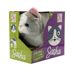 Vaikštanti katytė Sasha kaina ir informacija | Žaislai mergaitėms | pigu.lt