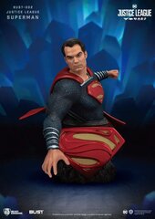 Лига Справедливости: PVC Бюст Супермена, 15 см цена и информация | Атрибутика для игроков | pigu.lt