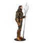 DC Justice League filmo veiksmo figūrėlė Aquaman, 18 cm цена и информация | Žaislai berniukams | pigu.lt