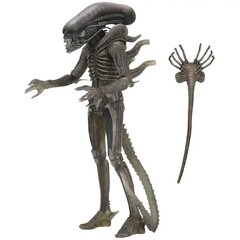 Alien 40th Anniversary Serie 4 The Alien figurėlė, 18cm kaina ir informacija | Žaislai berniukams | pigu.lt