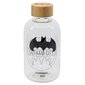 DC Comics Batman, 620 ml kaina ir informacija | Žaidėjų atributika | pigu.lt