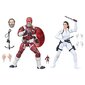 Marvel Black Widow Red Guardian ir Melina rinkinys 2 figūrėlės 15cm kaina ir informacija | Žaislai berniukams | pigu.lt