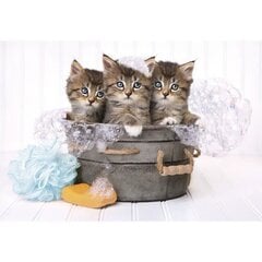 Lovely Kittens dėlionė 180vnt. kaina ir informacija | Dėlionės (puzzle) | pigu.lt