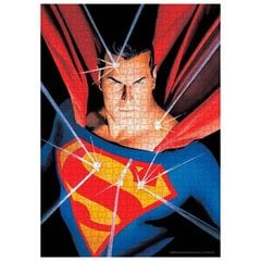 Dėlionė DC Comics Superman, 1000 d. kaina ir informacija | Dėlionės (puzzle) | pigu.lt