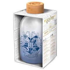 Harry Potter, 620 ml kaina ir informacija | Žaidėjų atributika | pigu.lt