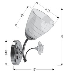 Candellux настенный светильник Ariam цена и информация | Настенные светильники | pigu.lt