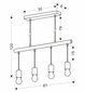 Candellux lighting šviestuvas Izzy 34-77929 цена и информация | Pakabinami šviestuvai | pigu.lt