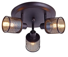 Candellux lighting šviestuvas Canabera 98-83098 kaina ir informacija | Lubiniai šviestuvai | pigu.lt