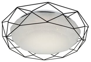 Candellux lighting светильник Sven 98-73167 цена и информация | Потолочные светильники | pigu.lt