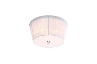 Candellux lighting светильник Camea 98-56245 цена и информация | Потолочные светильники | pigu.lt