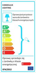 Candellux lighting светильник Emu 91-07813 цена и информация | Настенные светильники | pigu.lt