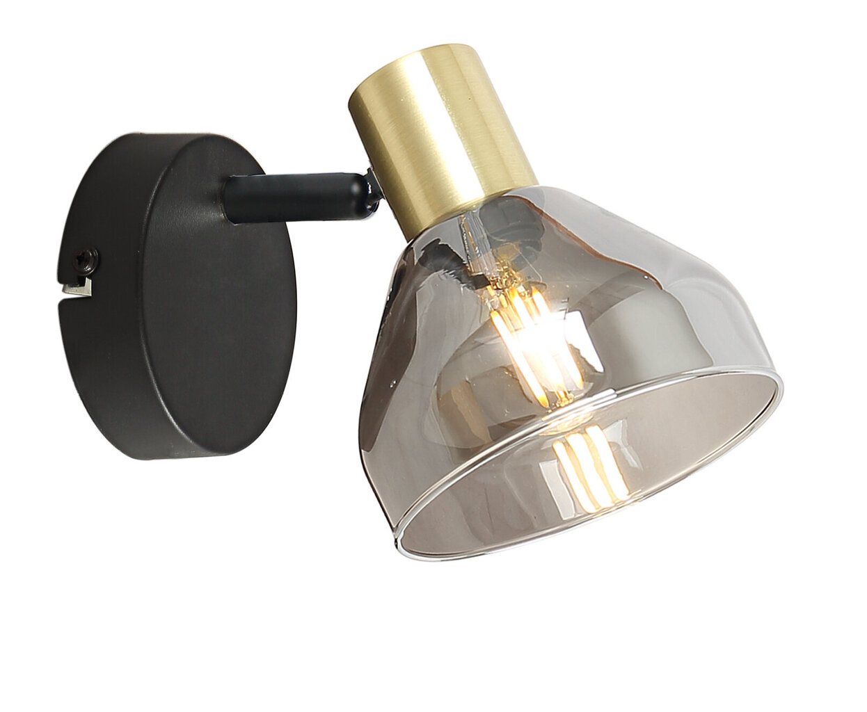Candellux lighting šviestuvas Gregory 21-76724 kaina ir informacija | Sieniniai šviestuvai | pigu.lt