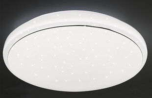 Candellux lighting светильник Jasper 14-75277 цена и информация | Потолочные светильники | pigu.lt