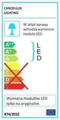 Candellux lighting šviestuvas Aquila 13-63151 kaina ir informacija | Lubiniai šviestuvai | pigu.lt