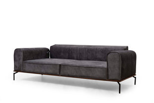 Трехместный диван Kalune Design Siesta, серый цена и информация | Диваны | pigu.lt