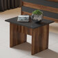 Kavos staliukas Kalune Design, rudas/tamsiai pilkas kaina ir informacija | Kavos staliukai | pigu.lt