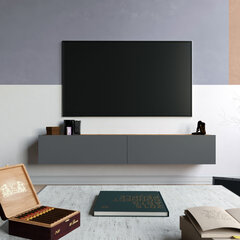 TV staliukas Kalune Design FR8, rudas/pilkas kaina ir informacija | TV staliukai | pigu.lt