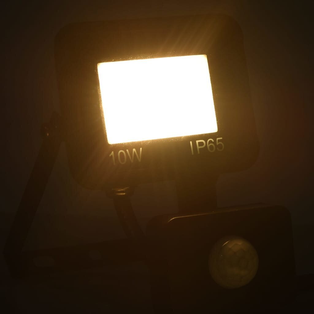 LED prožektorius su jutikliu 10W цена и информация | Žibintuvėliai, prožektoriai | pigu.lt