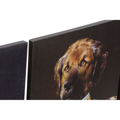 Картина DKD Home Decor, Пёс (40 x 1.8 x 50 cm) (6 шт.) цена и информация | Репродукции, картины | pigu.lt