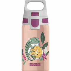 Бутылка для воды Sigg 9000.9 (0,5 л) (Пересмотрено C) цена и информация | Фляги для воды | pigu.lt