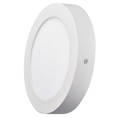 LED LUBŲ PLOKŠTĖ, APVALI 170MM SU LAIKIKLIU, BALTA 12W IP20 NW W kaina ir informacija | EMOS Baldai ir namų interjeras | pigu.lt