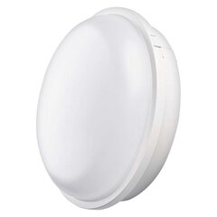 LED Sieninis šviestuvas IP65 20W NW kaina ir informacija | EMOS Baldai ir namų interjeras | pigu.lt