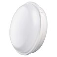 LED Sieninis šviestuvas IP65 20W NW