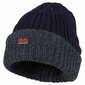 Žieminė kepurė vyrams Heat Keeper, mėlyna kaina ir informacija | Vyriški šalikai, kepurės, pirštinės | pigu.lt