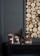 WoodWick ароматическая свеча Smoked Walnut & Maple 609,5 г цена и информация | Подсвечники, свечи | pigu.lt