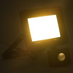 LED prožektorius su jutikliu 30W цена и информация | Фонарики, прожекторы | pigu.lt