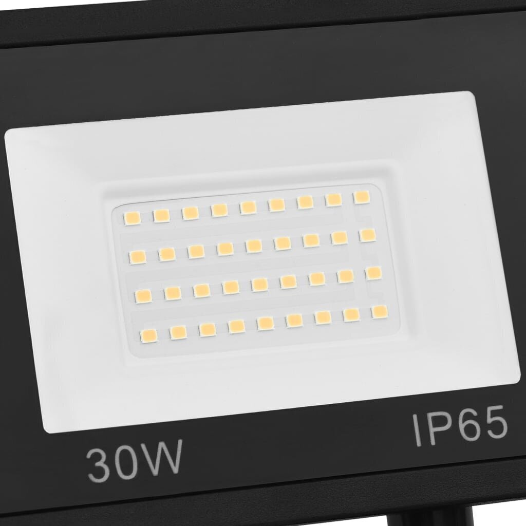 LED prožektorius su jutikliu 30W цена и информация | Žibintuvėliai, prožektoriai | pigu.lt