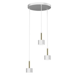 Подвесной светильник ARENA WHITE/GOLD 3xGX53 цена и информация | Люстры | pigu.lt