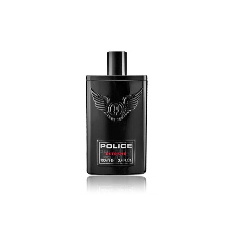 Tualetinis vanduo Police Extreme EDT vyrams 100 ml kaina ir informacija | Kvepalai vyrams | pigu.lt