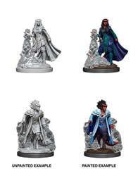 D&D Nolzur's Marvelous Miniatures WizKids WZK90059, 1 vnt. kaina ir informacija | Žaidėjų atributika | pigu.lt