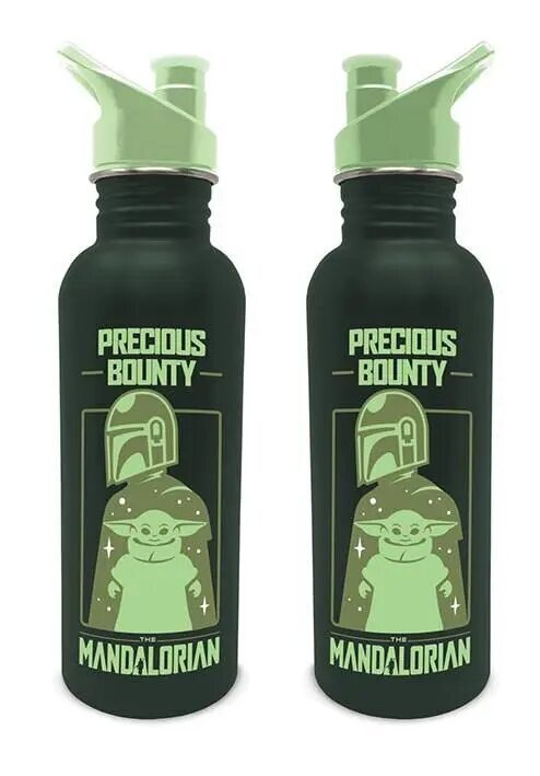 Gertuvė Star Wars The Mandalorian Precious Bounty, 700 ml kaina ir informacija | Gertuvės | pigu.lt