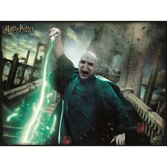 Dėlionė Hario Poterio Voldemorto Prime 3D, 300vnt kaina ir informacija | Dėlionės (puzzle) | pigu.lt