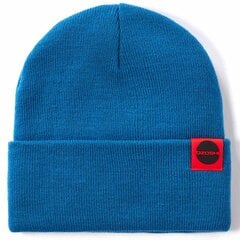 Žieminė Kepurė Ozoshi Hitoshi Cuffed Beanie OWH20CFB002BR kaina ir informacija | Kepurės, pirštinės, šalikai berniukams | pigu.lt