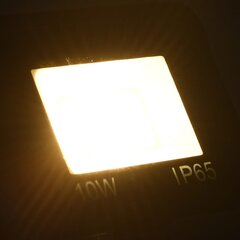 LED prožektorius 10W 700lm kaina ir informacija | Žibintuvėliai, prožektoriai | pigu.lt