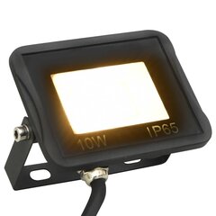 LED prožektorius 10W 700lm цена и информация | Фонарики, прожекторы | pigu.lt