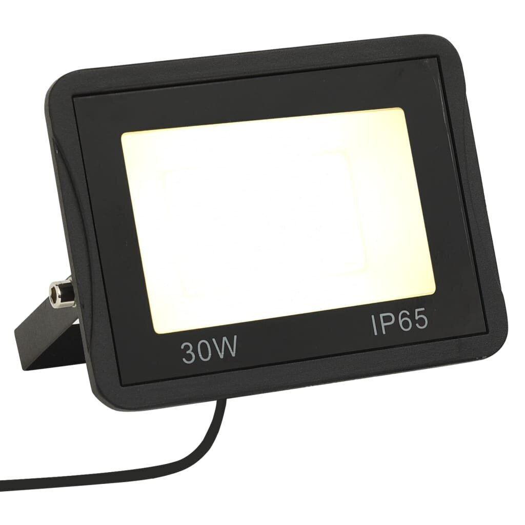 LED prožektorius 30W 2100lm цена и информация | Žibintuvėliai, prožektoriai | pigu.lt