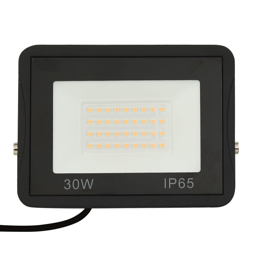 LED prožektorius 30W 2100lm цена и информация | Žibintuvėliai, prožektoriai | pigu.lt
