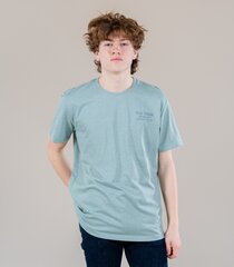 Marškinėliai vyriški Tom Tailor 1029212*28544, šviesiai-žali kaina ir informacija | Vyriški marškinėliai | pigu.lt