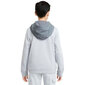 Megztinis berniukams Nike, pilkas цена и информация | Megztiniai, bluzonai, švarkai berniukams | pigu.lt